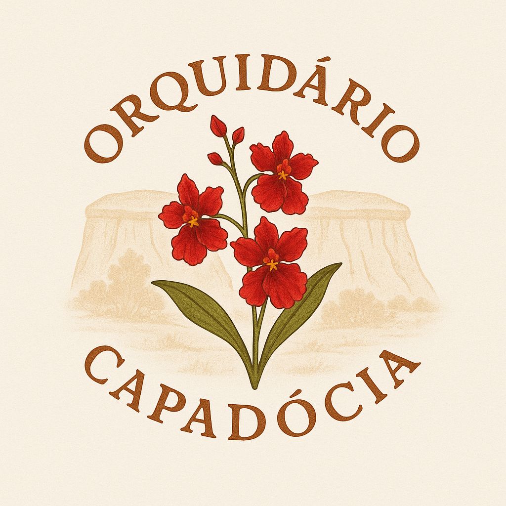 Logo da localização